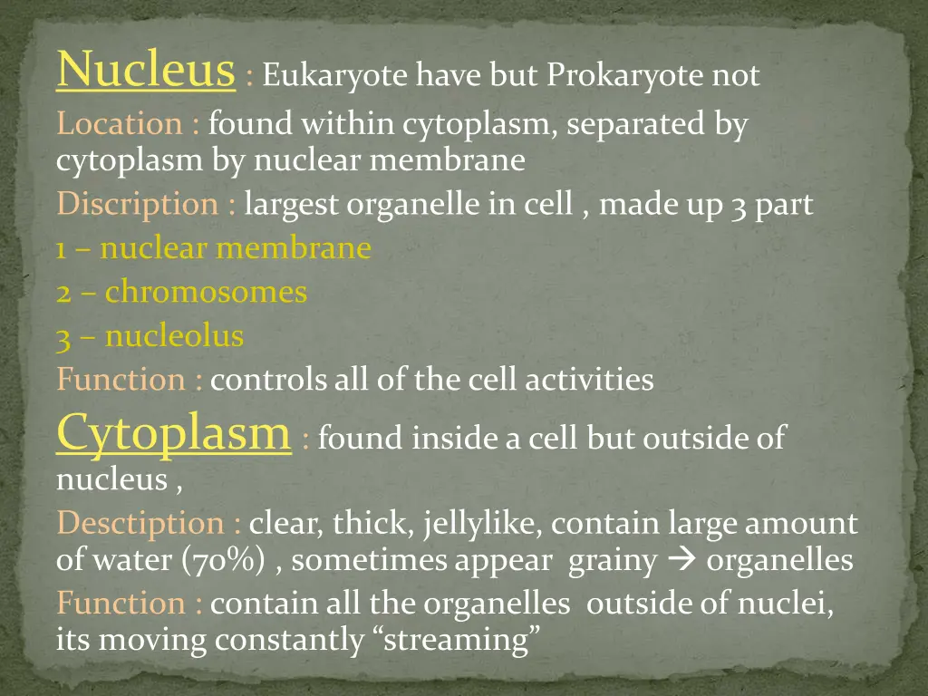 nucleus eukaryote have but prokaryote