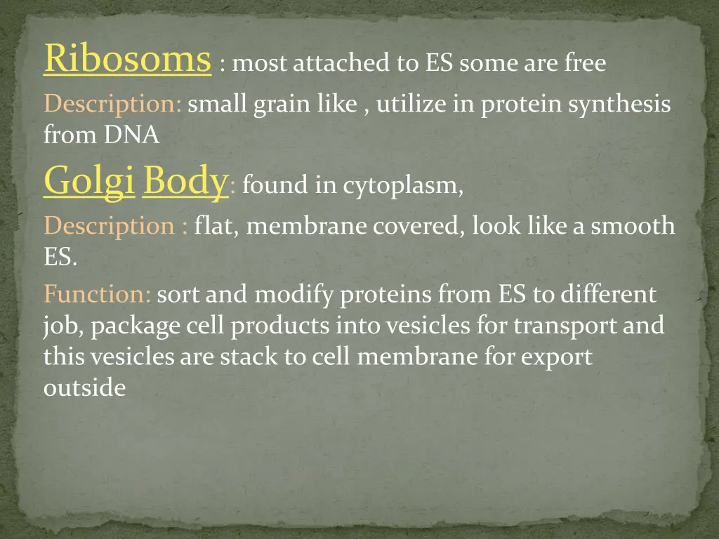 ribosoms most attached to es some are free