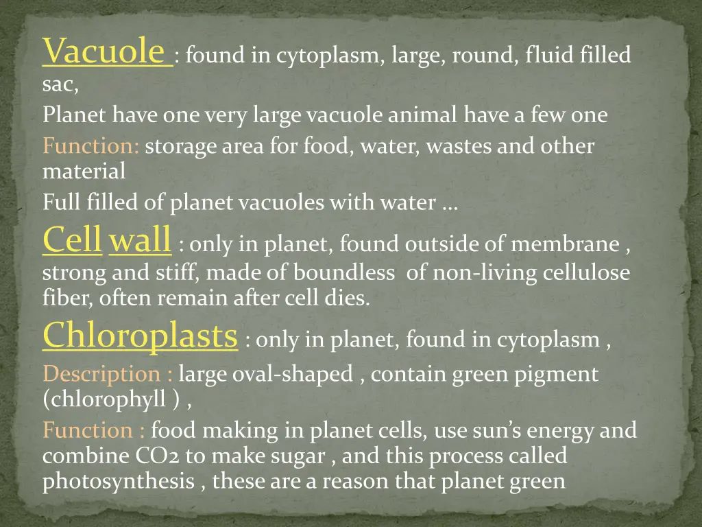 vacuole found in cytoplasm large round fluid