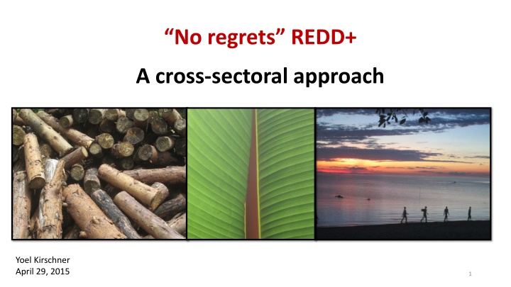 no regrets redd