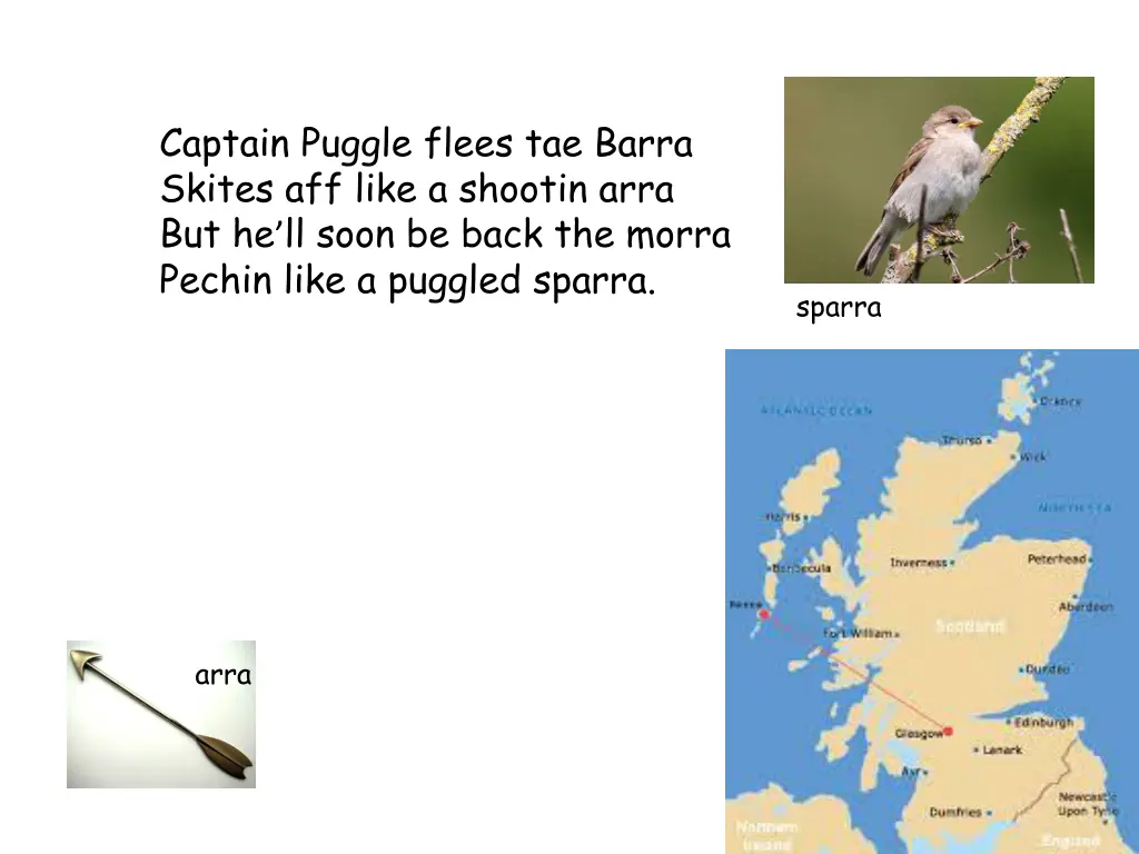 captain puggle flees tae barra skites aff like