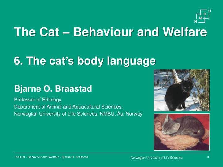 the cat behaviour and welfare