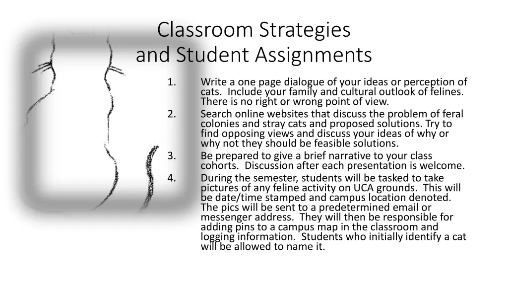 classroom strategies and student assignments 1