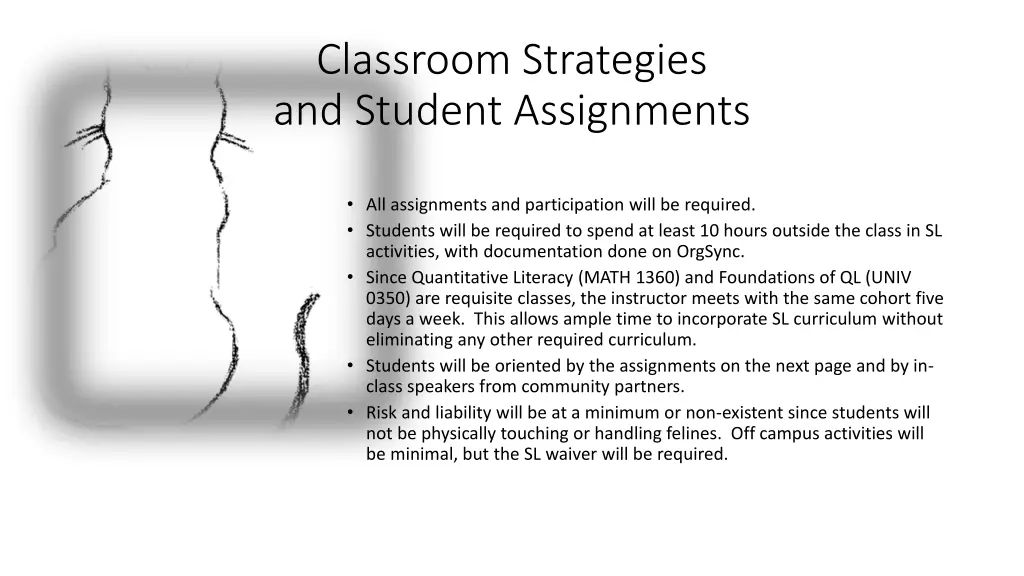 classroom strategies and student assignments