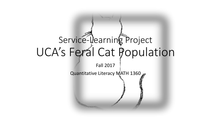 service learning project uca s feral