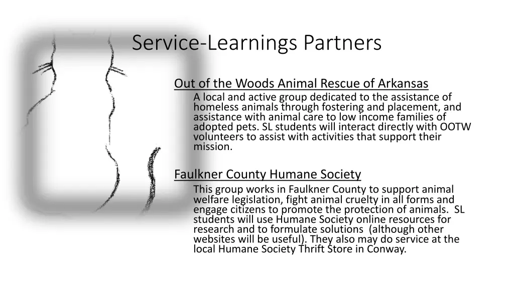 service learnings partners