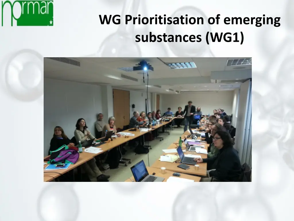 wg prioritisation of emerging substances wg1