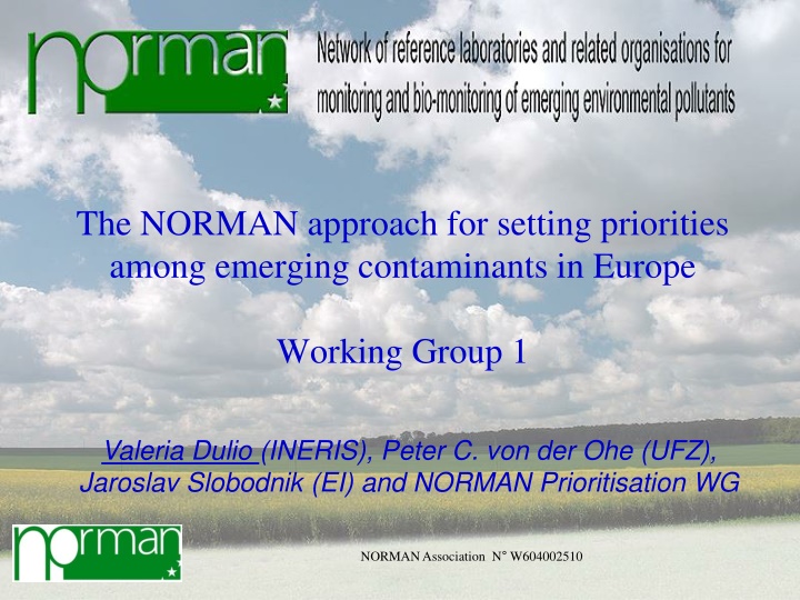 the norman approach for setting priorities among