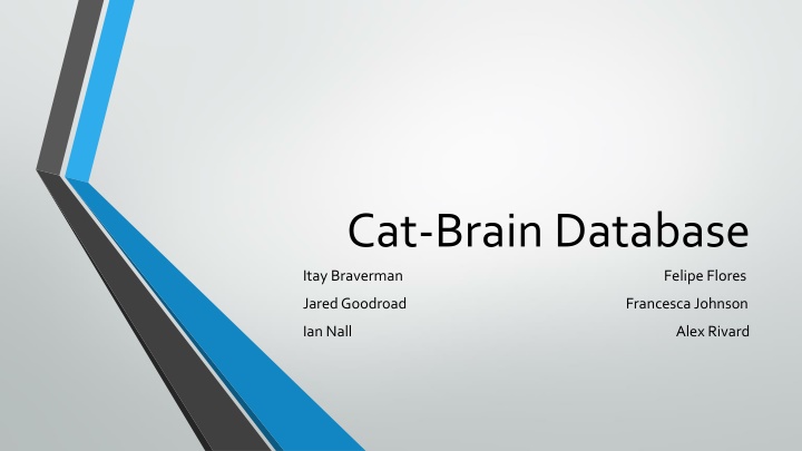 cat brain database