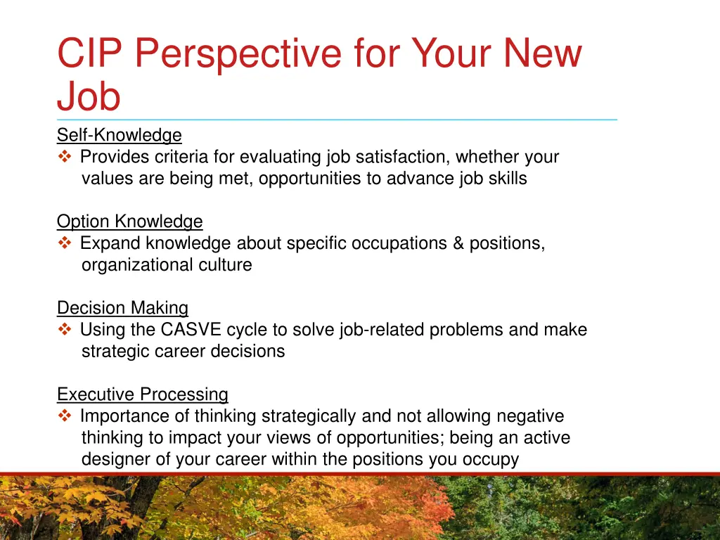 cip perspective for your new job self knowledge