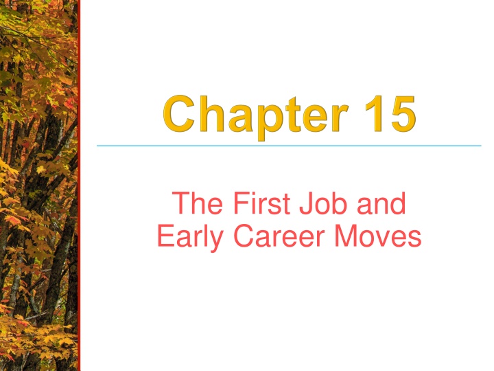 the first job and early career moves