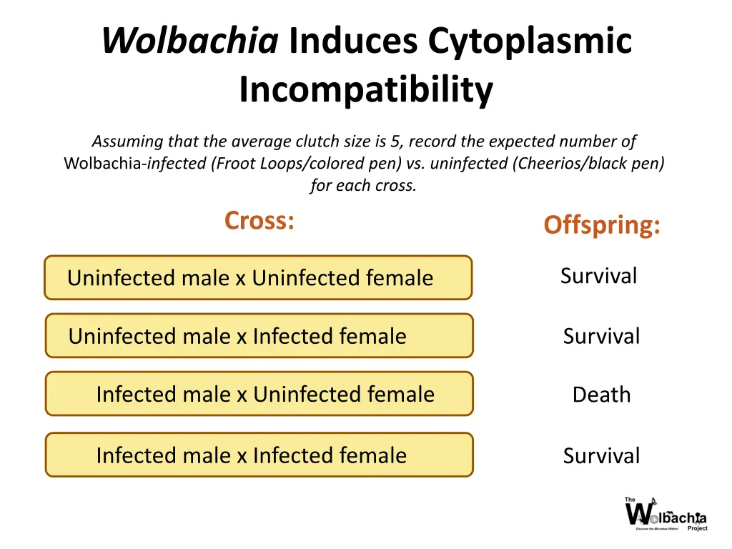 wolbachia induces cytoplasmic incompatibility