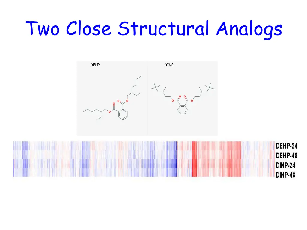 two close structural analogs