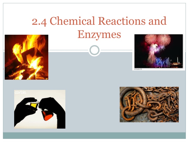 2 4 chemical reactions and enzymes