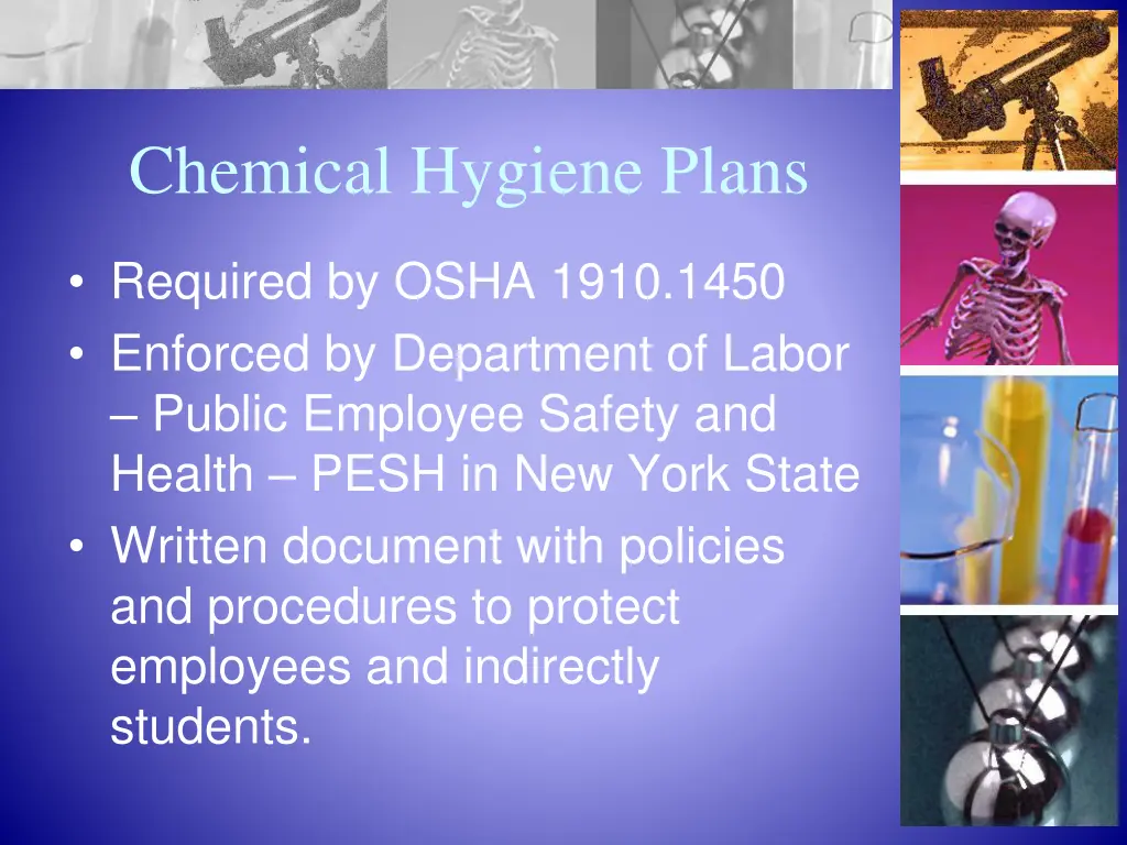 chemical hygiene plans