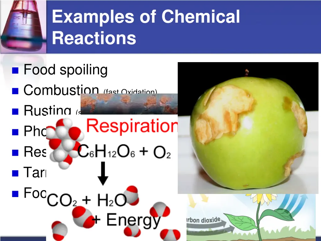 examples of chemical reactions