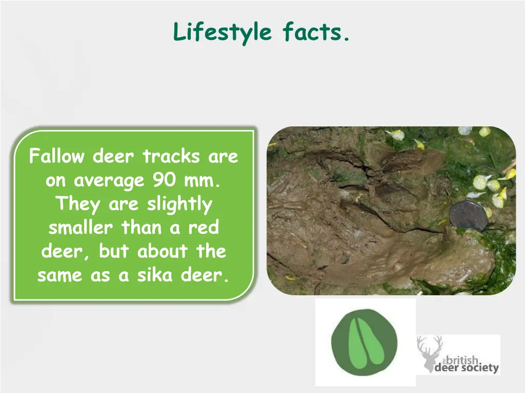 lifestyle facts 1