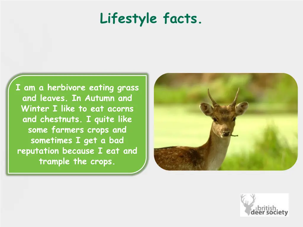 lifestyle facts