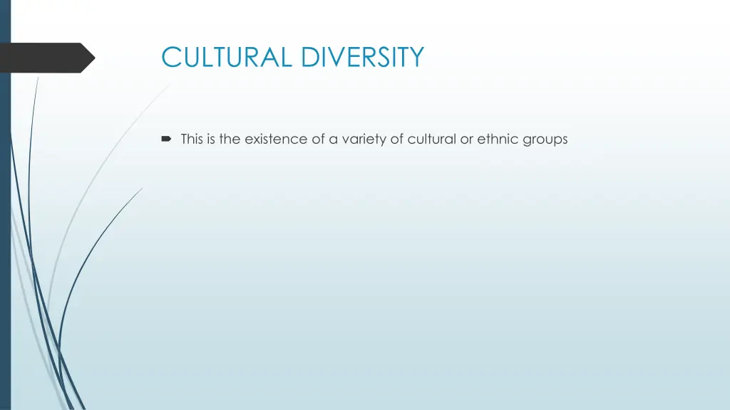 cultural diversity