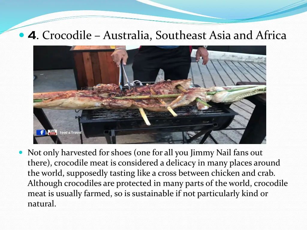 4 crocodile australia southeast asia and africa