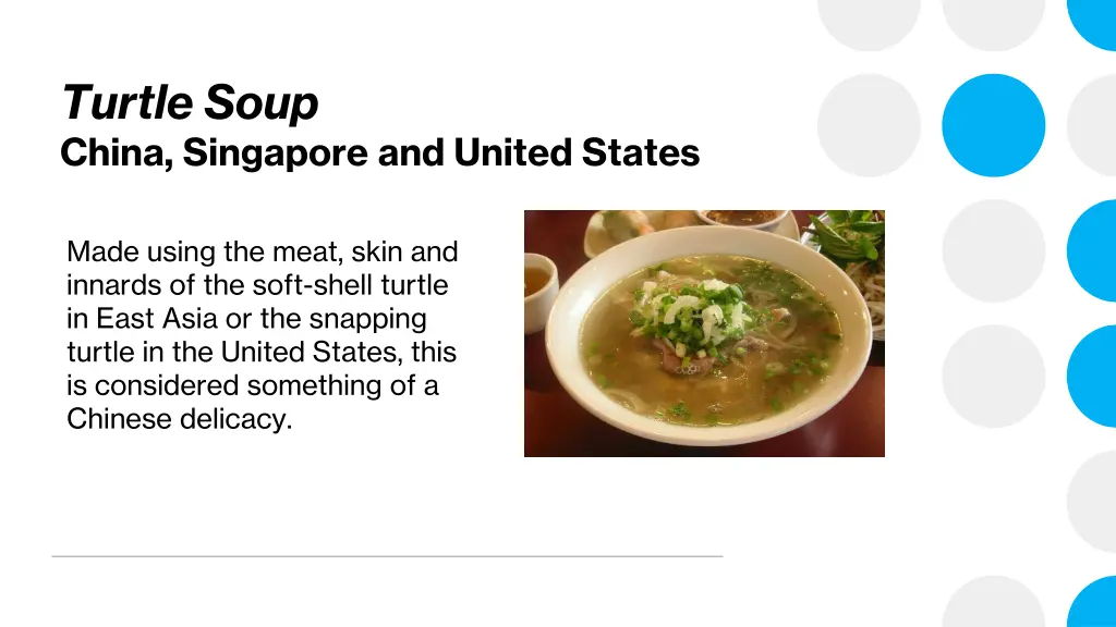 turtle soup china singapore and united states