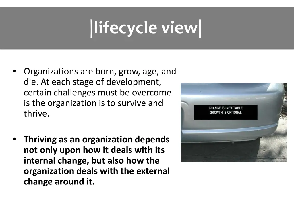 lifecycle view 1