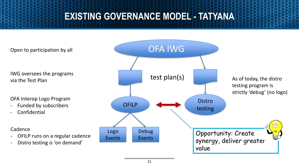 existing governance model tatyana