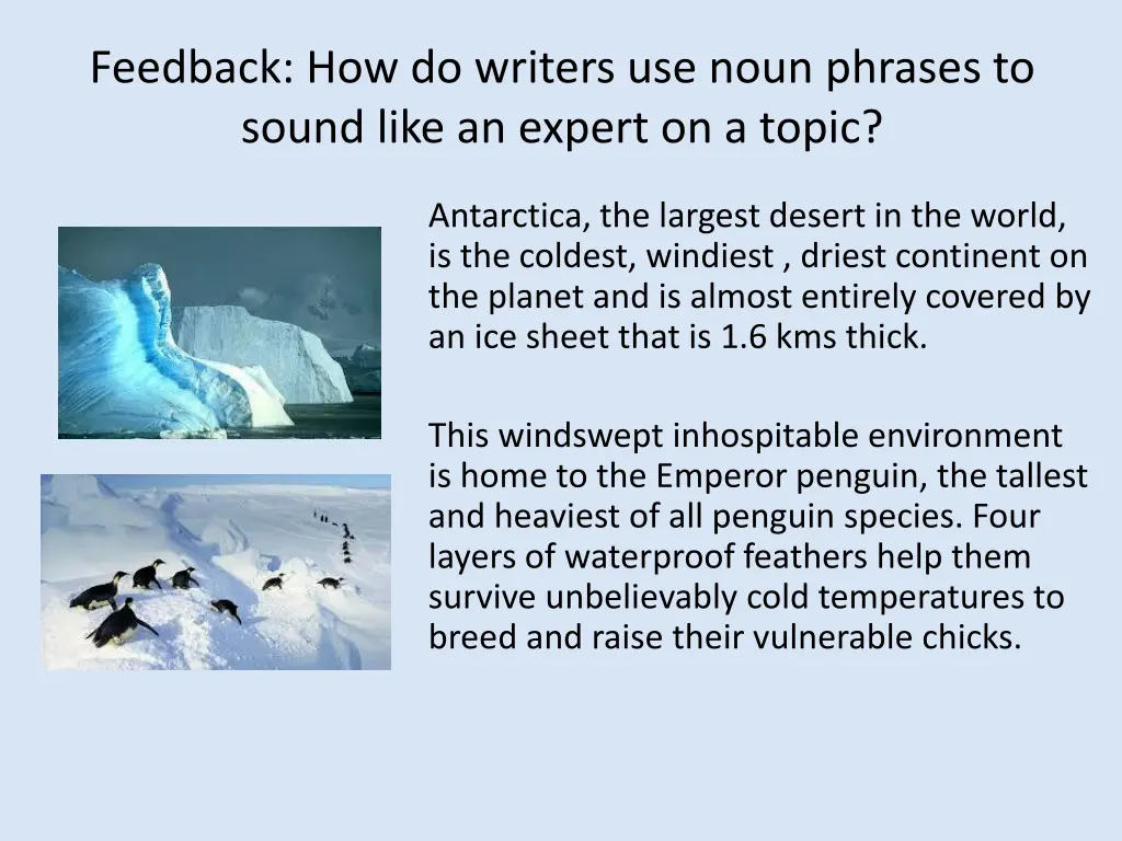 feedback how do writers use noun phrases to sound