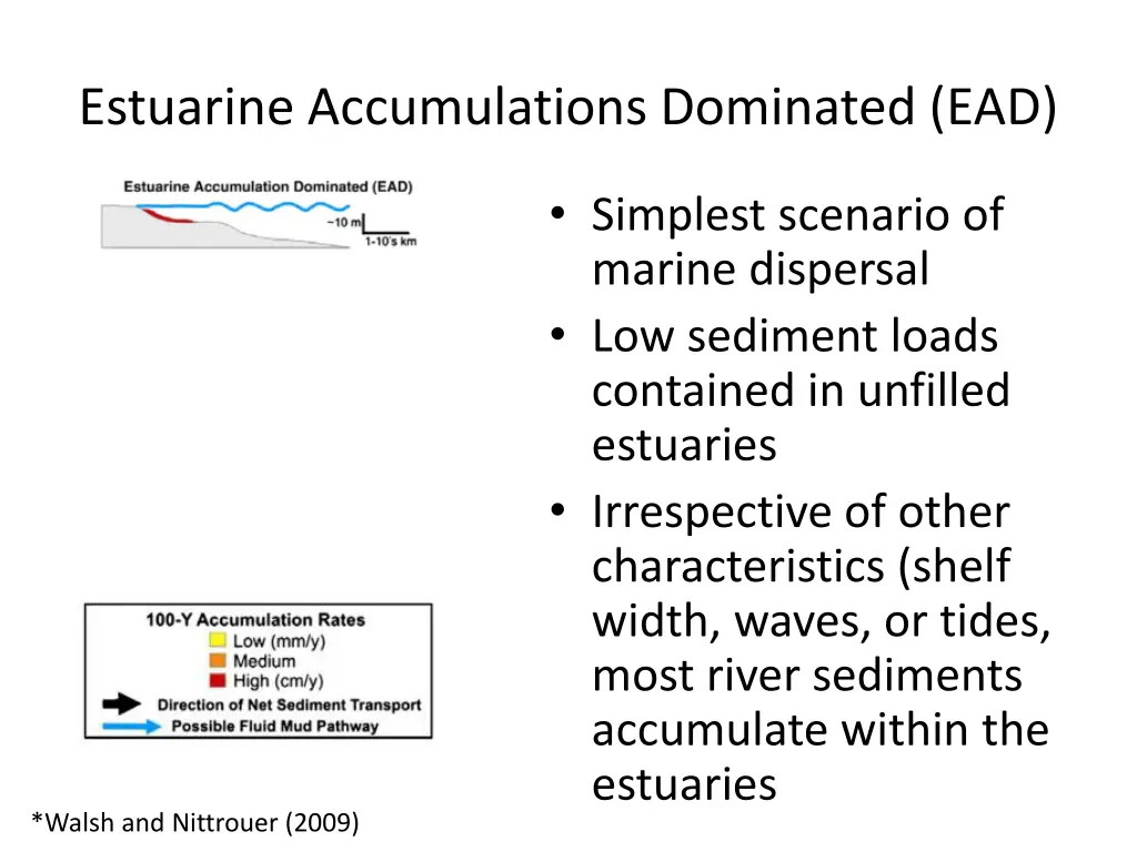 estuarine accumulations dominated ead