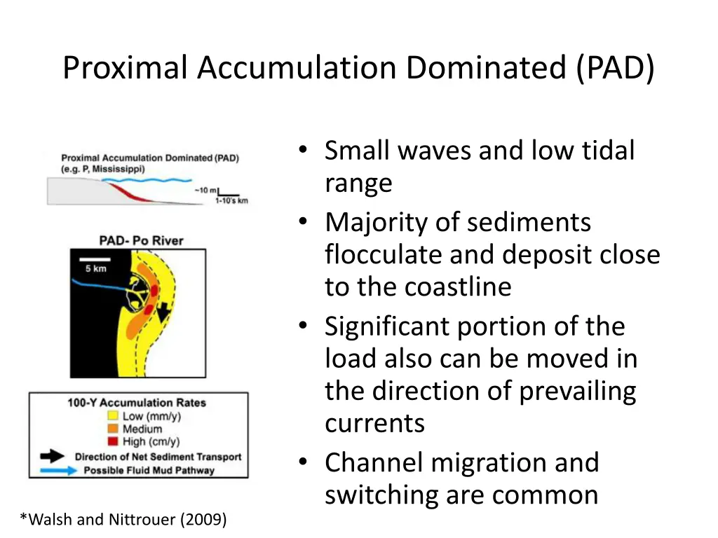 proximal accumulation dominated pad