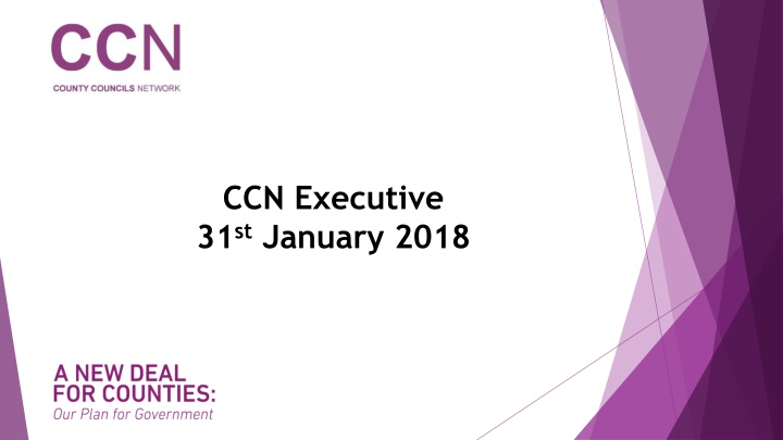 ccn executive 31 st january 2018