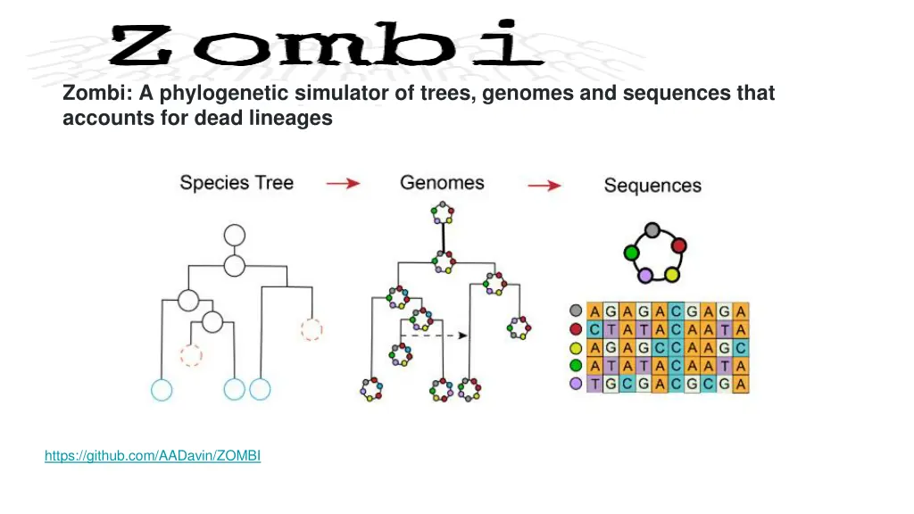 zombi a phylogenetic simulator of trees genomes