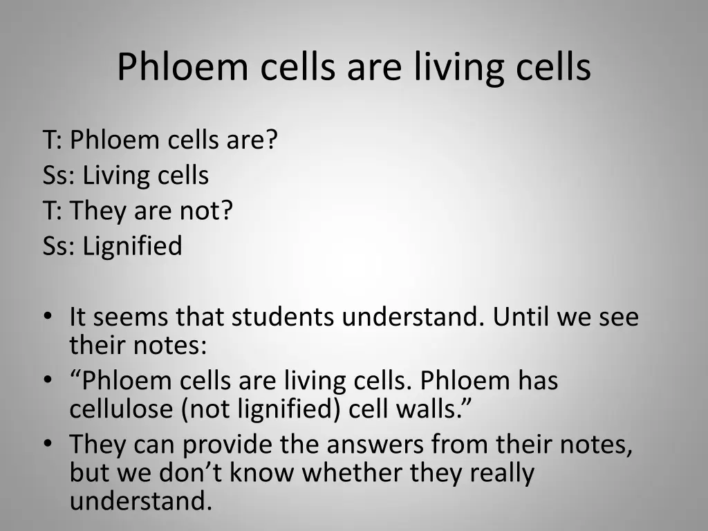 phloem cells are living cells