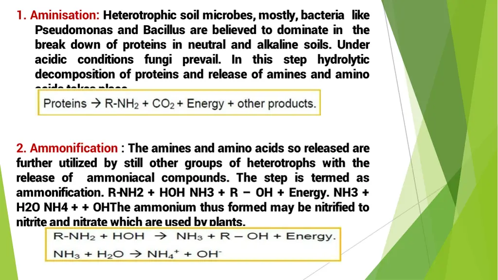 1 aminisation heterotrophic soil microbes mostly