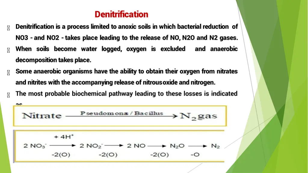 denitrification