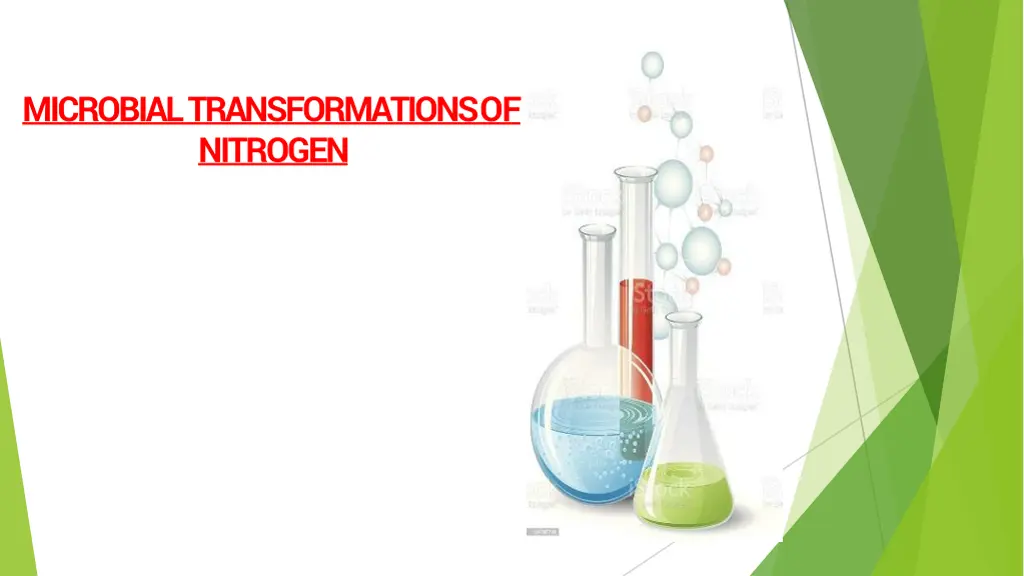 microbial transformations of nitrogen