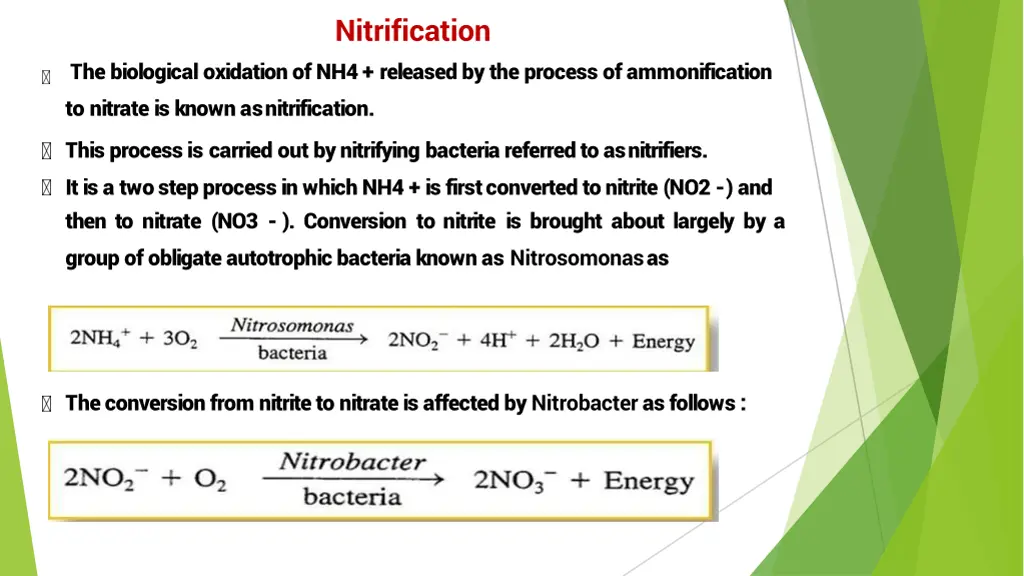 nitrification