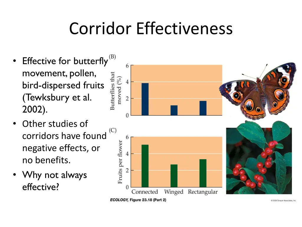 corridor effectiveness 1