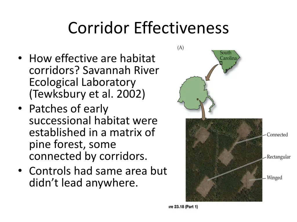 corridor effectiveness