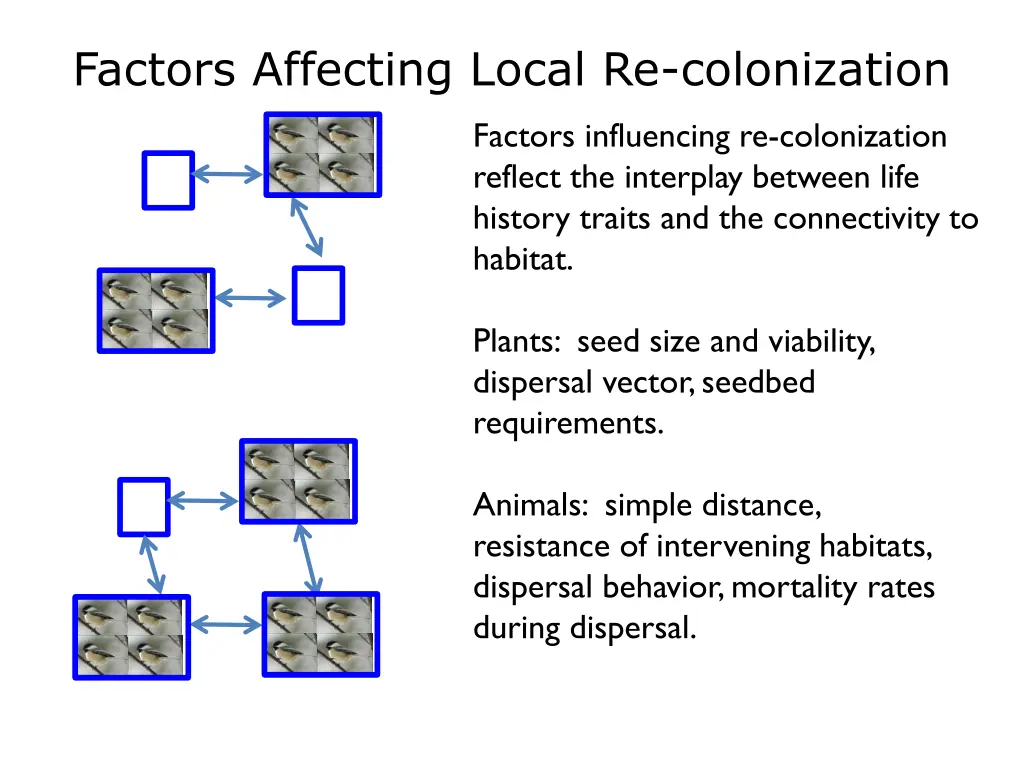 factors affecting local re colonization