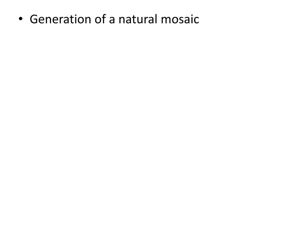 generation of a natural mosaic
