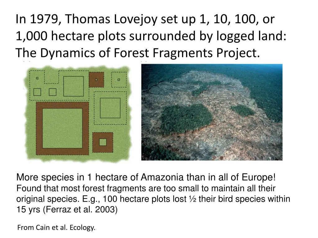 in 1979 thomas lovejoy