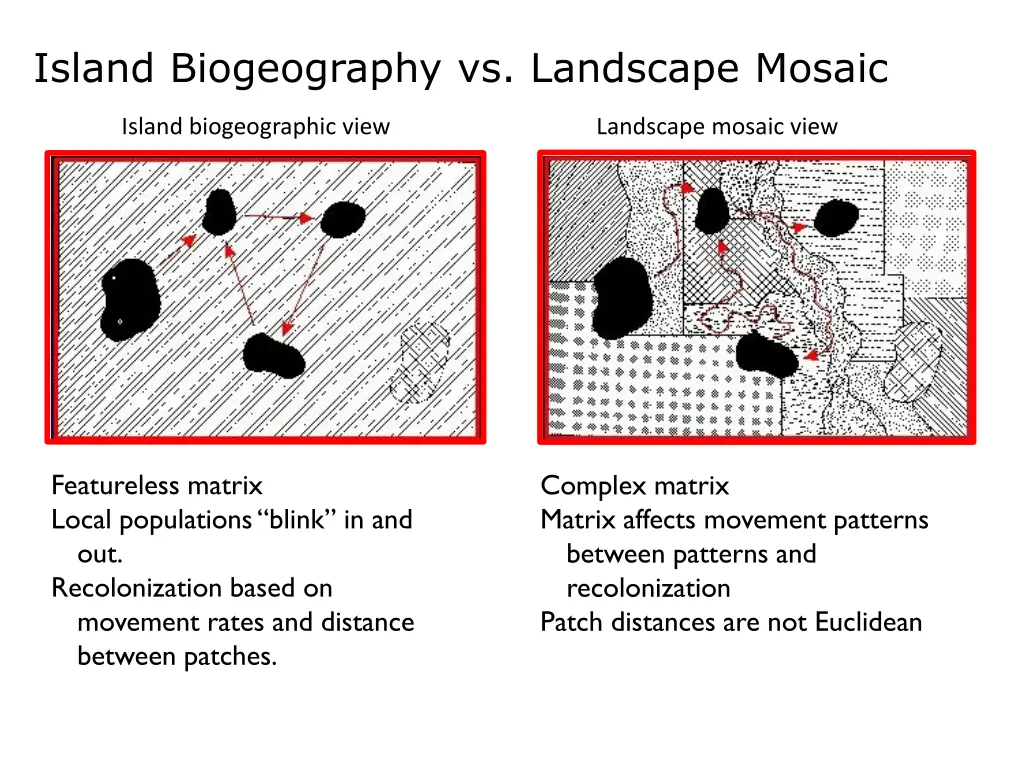 island biogeography vs landscape mosaic