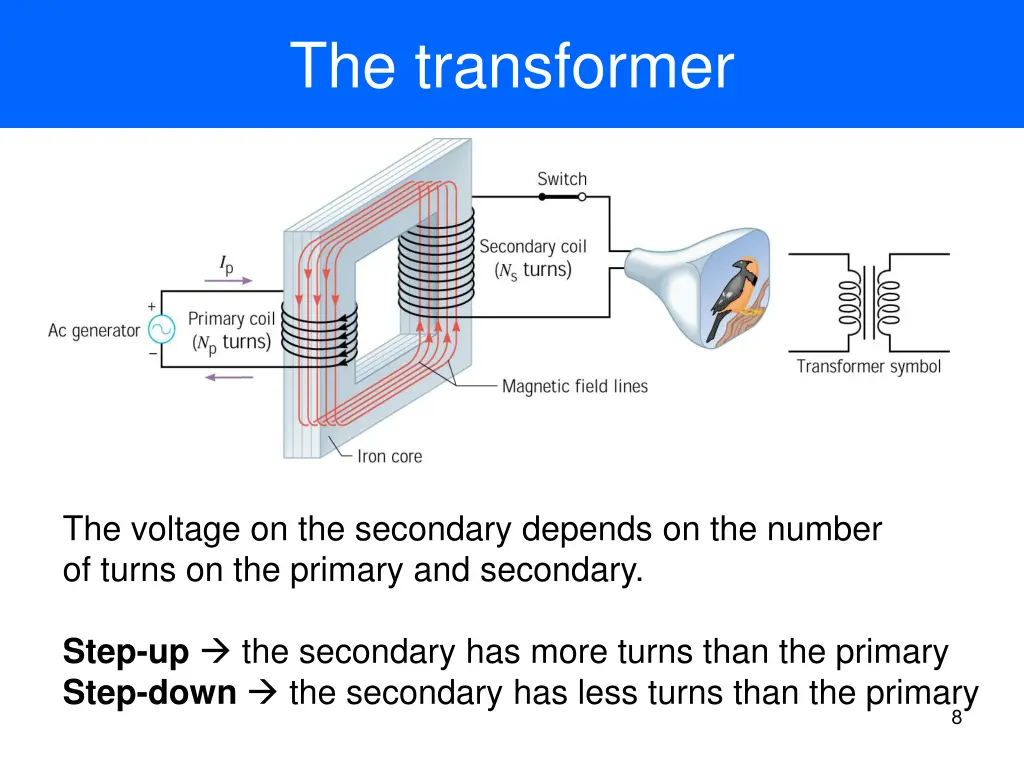 the transformer