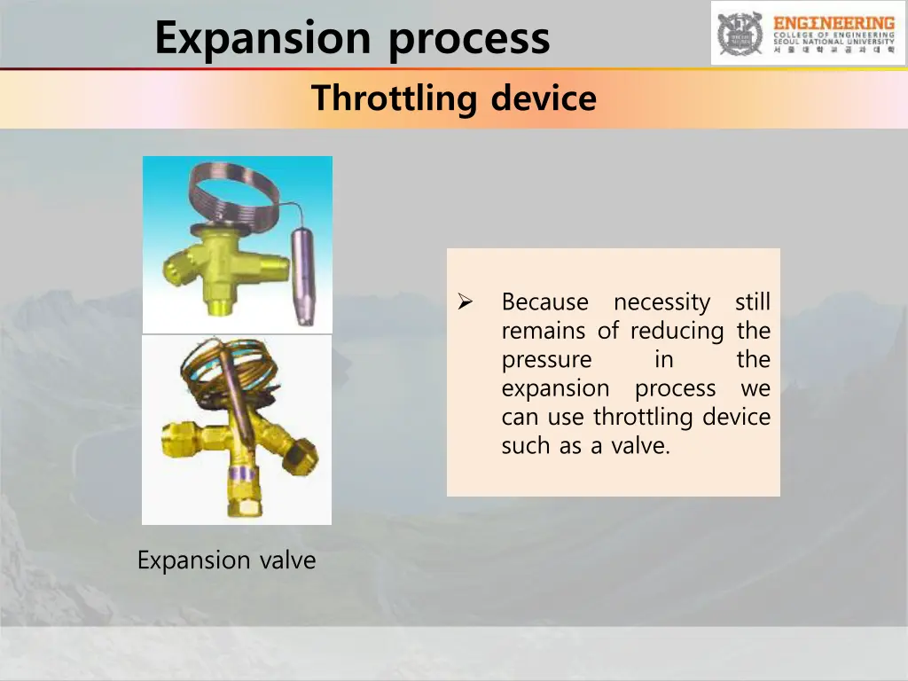 expansion process throttling device