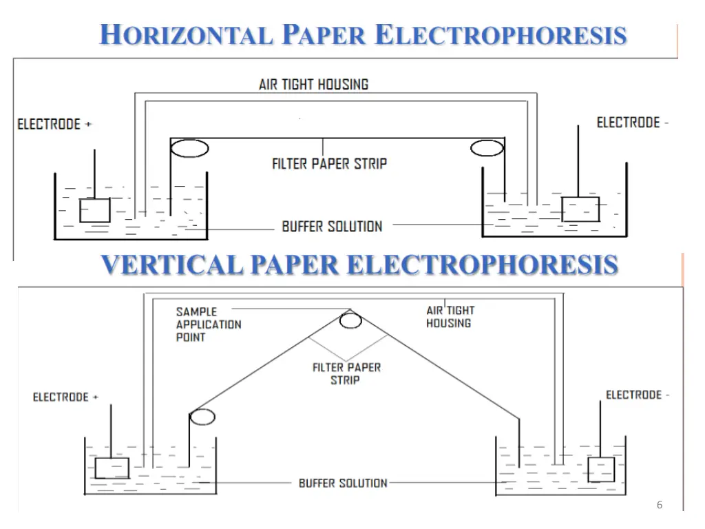 paper electrophoresis