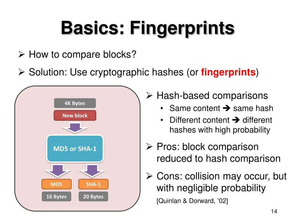 basics fingerprints