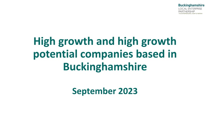 high growth and high growth potential companies