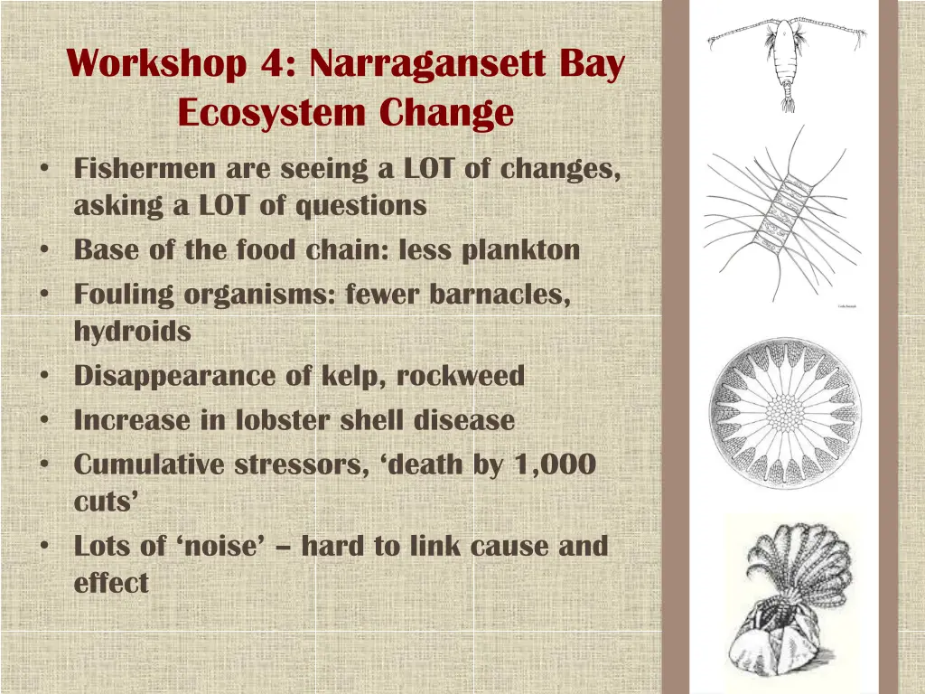 workshop 4 narragansett bay ecosystem change