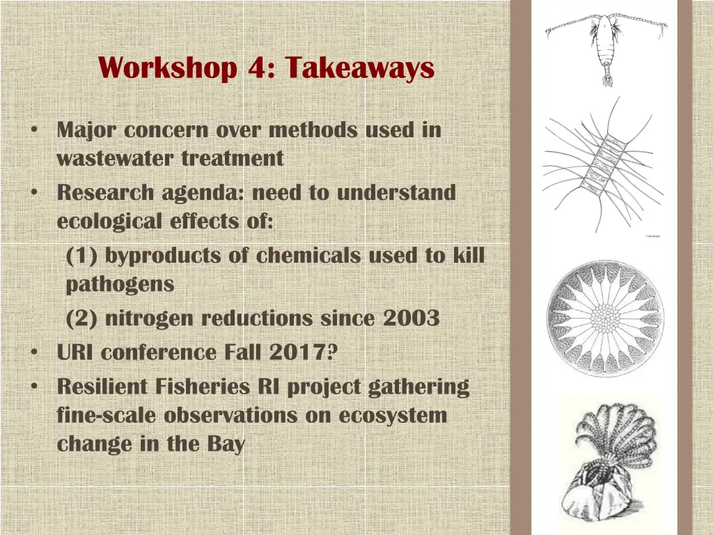 workshop 4 takeaways